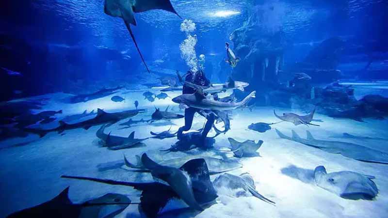 antalya aquarium from okurcalar