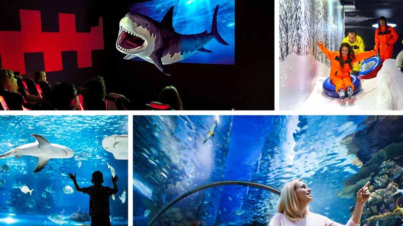 aquarium tour from okurcalar
