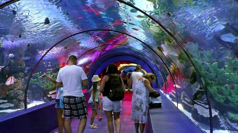 okurcalar to antalya aquarium