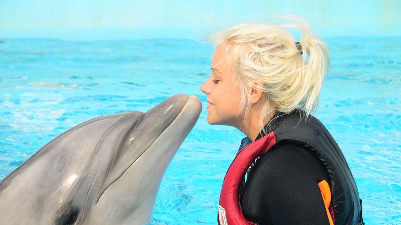 Okurcalar dolphin swimming price