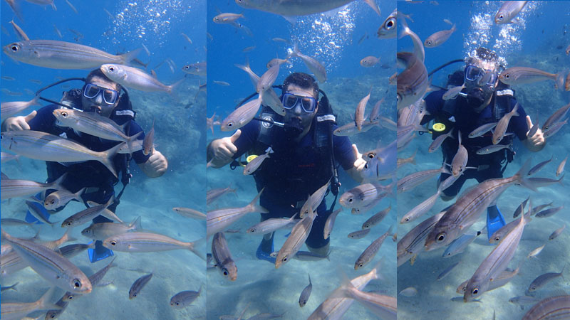 deep diving in okurcalar