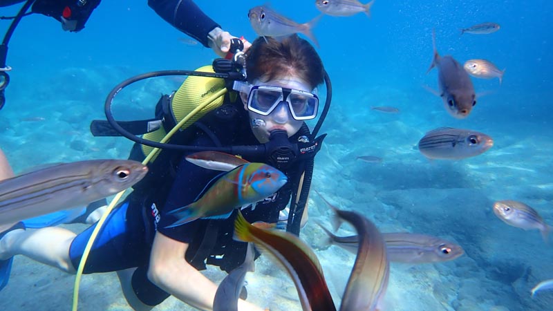 diving okurcalar