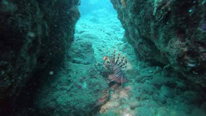 scuba diving in the cave