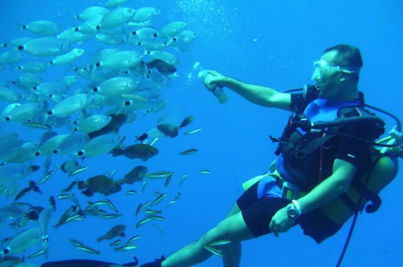 okurcalar diving tour