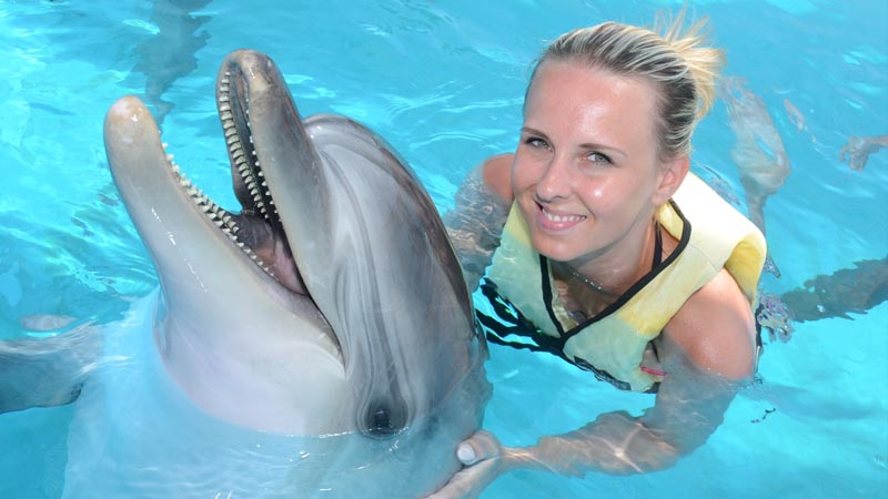 swimming with dolphins in side recommendation