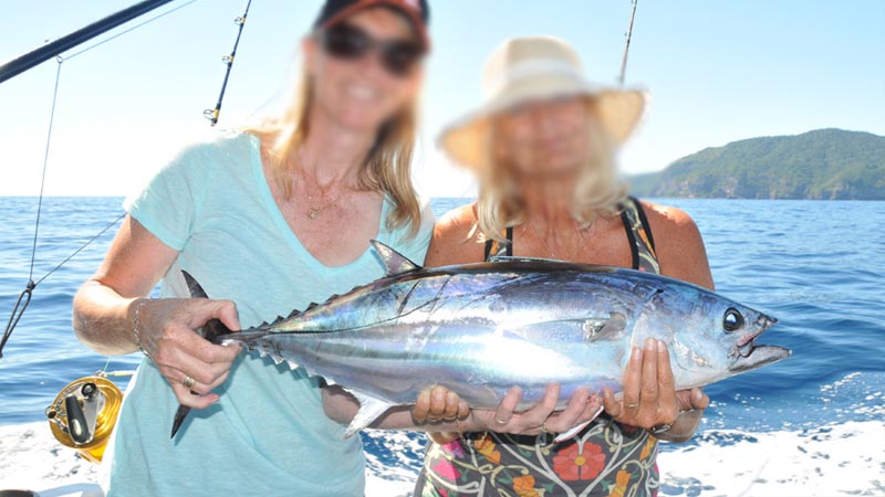 deep sea fishing Okurcalar