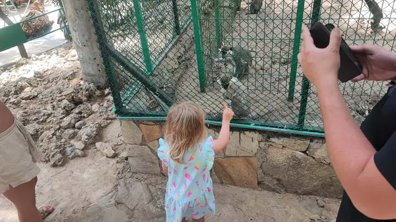 feed monkeys okurcalar
