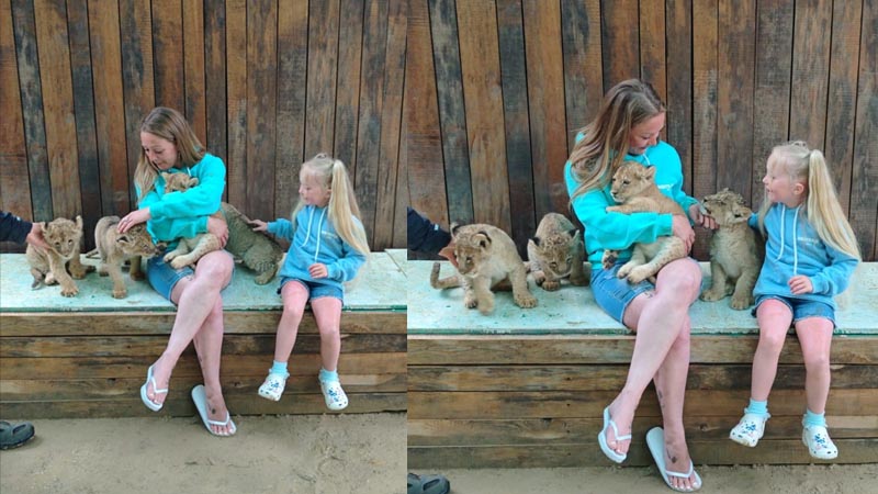 okurcalar photo with lion cub prices