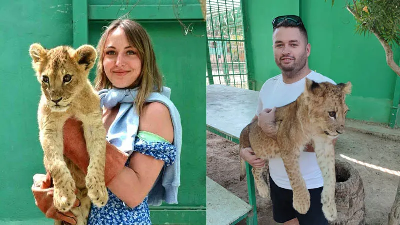photo-with-lion-okurcalar tour