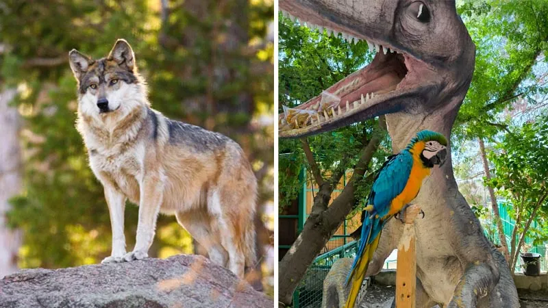 zoo-park-okurcalar