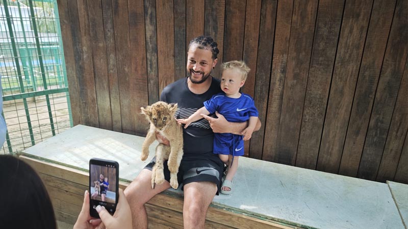 baby lion photo in Okurcalar