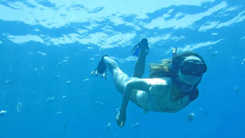 snorkel-on-yacht